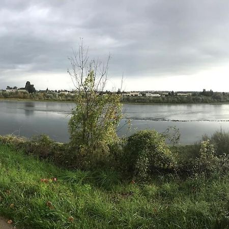 شقة Nid Douillet Bord De Loire بلْوا المظهر الخارجي الصورة