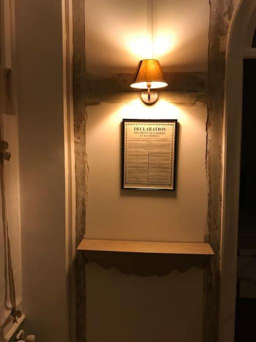 شقة Nid Douillet Bord De Loire بلْوا المظهر الخارجي الصورة