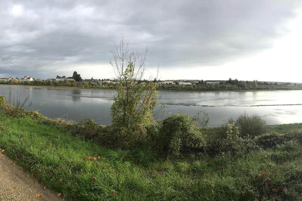 شقة Nid Douillet Bord De Loire بلْوا المظهر الخارجي الصورة